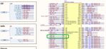 mb1381_ard_d0_d1.jpg