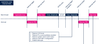 FBL_8-1728498270988.png