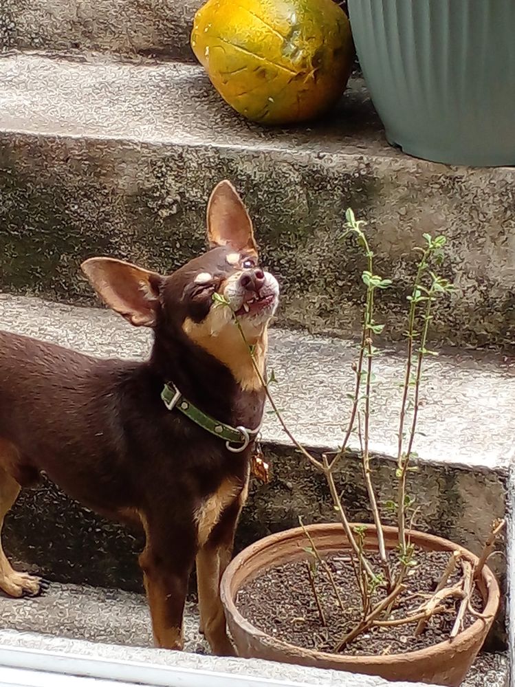 20210821_133341 (1).jpg