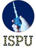 Figure 4: ISPU magic wand