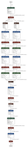 concat_net_model