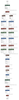 concat_net_model