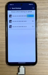 DeniseSANFILIPPO_9-1736243980053.png