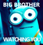 big_brother_watching_you.jpg