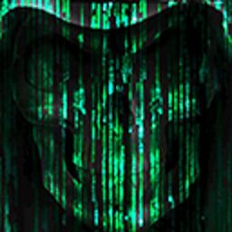 MatrixSkullProfilePicture.jpg